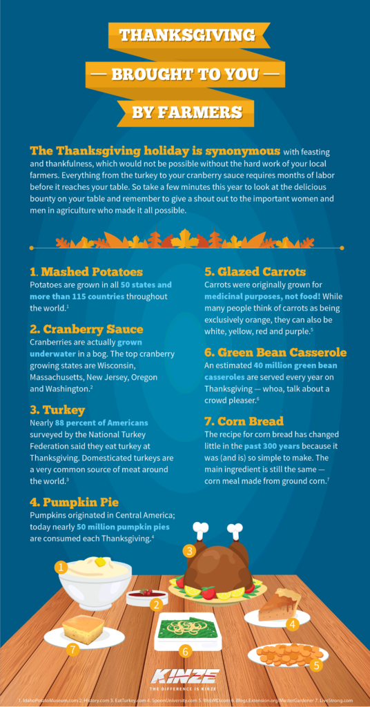 Thanksgiving Social Infographic